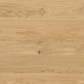 Baltic Wood - NoLimits Collection - Discovery
