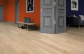 Baltic Wood - NoLimits Collection - Discovery