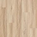 Arbiton - Woodric - Dąb Windsor CW184