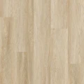 Arbiton - Woodric - Dąb Rockford CW179