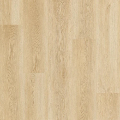 Arbiton - Woodric - Dąb Holman CW 182