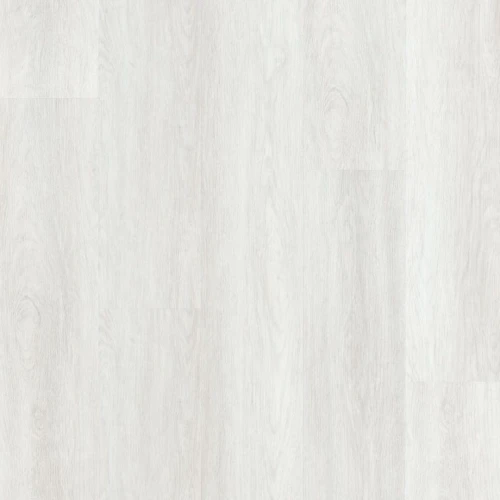 Arbiton - Woodric - Dąb Hayworth CW 176