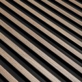L0103_dąb szary_1.jpg