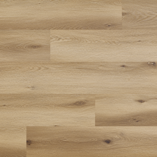 Arbiton - Amaron Woodric Eir Acoustic - Dąb Garland CWSA 208