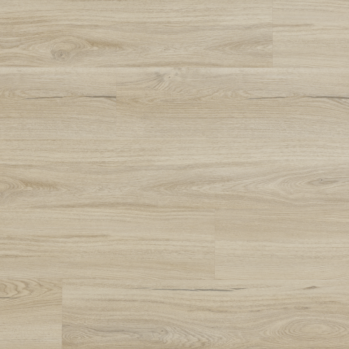 Arbiton - Amaron Woodric Eir Acoustic - Dąb Salerno CWSA 209