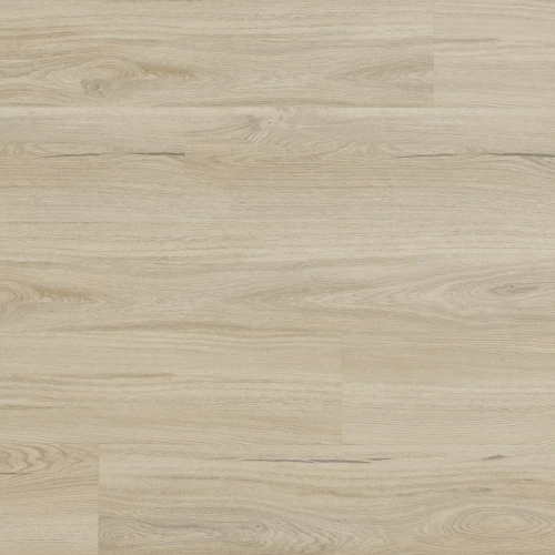 Arbiton - Amaron Woodric Eir Acoustic - Dąb Salerno CWSA 209