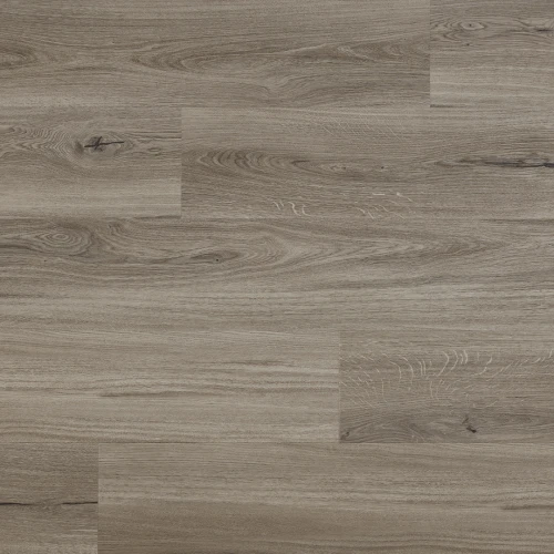 Arbiton - Amaron Woodric Eir Acoustic - Dąb Lincoln CWSA 212