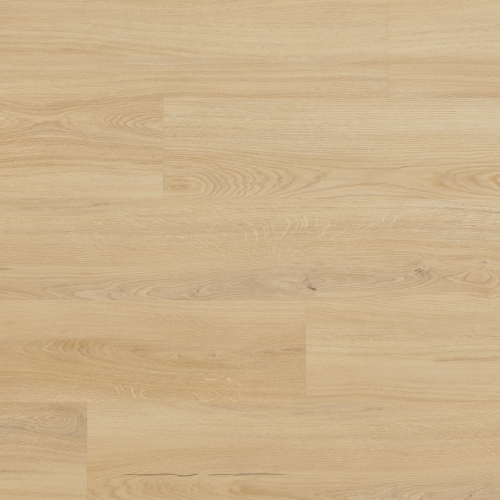 Arbiton - Amaron Woodric Eir Acoustic - Dąb Lavant CWSA 206