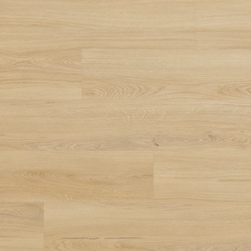 Arbiton - Amaron Woodric Eir Acoustic - Dąb Lavant CWSA 206