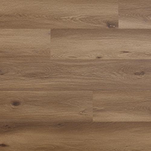 Arbiton - Amaron Woodric Eir Acoustic - Dąb Dallas CWSA 211