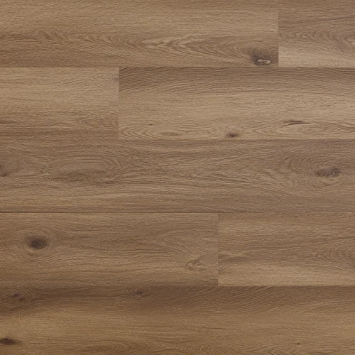 Arbiton - Amaron Woodric Eir Acoustic - Dąb Dallas CWSA 211