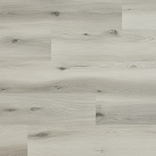 Arbiton - Amaron Woodric Eir Acoustic - Dąb Baltimore CWSA 202