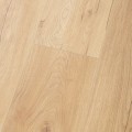 Premium Floor - Forte - Dąb Florence - 99071