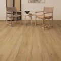 Premium Floor - Forte - Dąb Florence - 99071