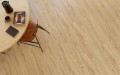 Dąb Amstrong - wizualizacja.jpg