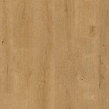 Dąb leśny naturalny V4307-40219