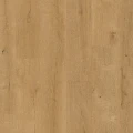 Dąb leśny naturalny V4307-40219