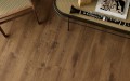 Vin In - Jazz  - Wenge Evans