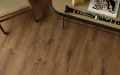 Vin In - Jazz  - Wenge Evans