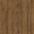 Vin In - Jazz  - Wenge Evans