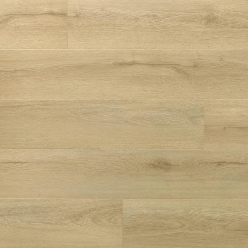 Arbiton - Amaron Wood Acoustic - Dąb Princeton CASA 228