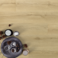 Arbiton - Amaron Wood Acoustic - Dąb Princeton CASA 228
