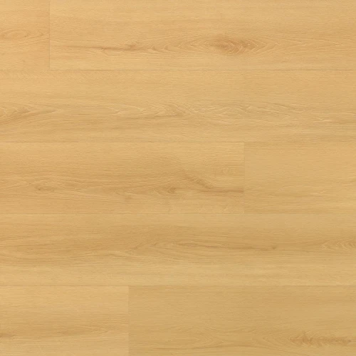 Arbiton - Amaron Wood Acoustic - Dąb Virgin CASA 227