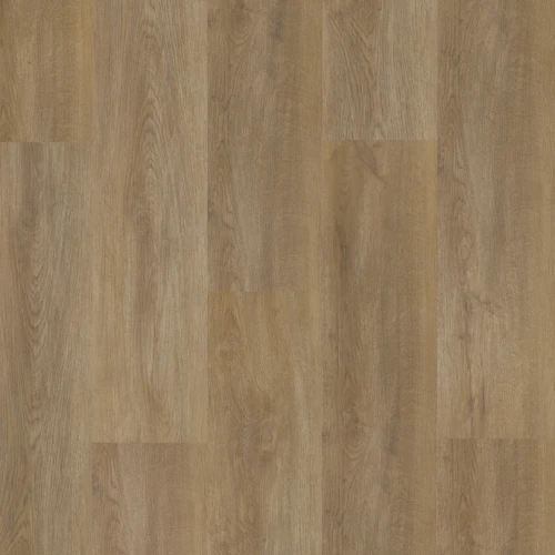 Arbiton - Amaron Wood Acoustic - Dąb Sierra CAA 154