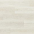 Arbiton - Amaron Woodric Acoustic - Dąb Lawrence CWA 180