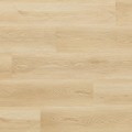 Arbiton - Amaron Woodric Acoustic - Dąb Holman CWA 182