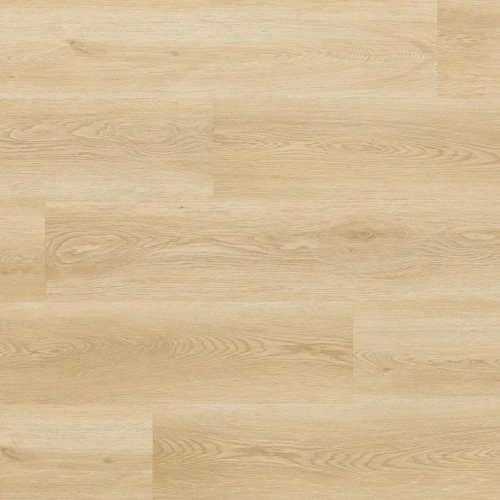 Arbiton - Amaron Woodric Acoustic - Dąb Holman CWA 182