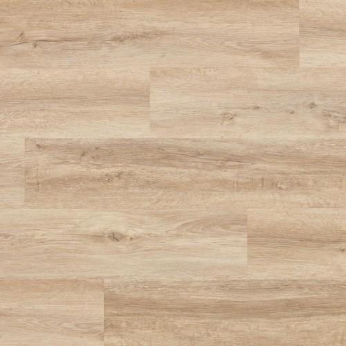 Arbiton - Amaron Woodric Acoustic - Dąb Windsor CWA 184