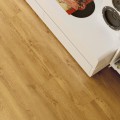 Vin In - House - Dąb Tiga