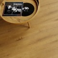 Vin In - Blues - Dąb Mahal