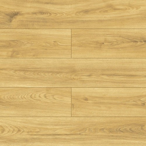 Dąb Americano D40474.jpg