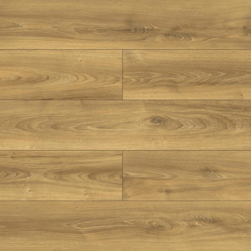 Dąb Ristretto D40494.jpg