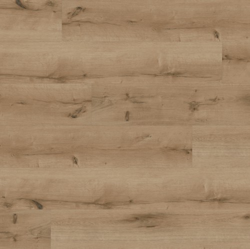 ter Hürne - Sōya 1 Perform - Dąb Bilbao długa deska 1101240021