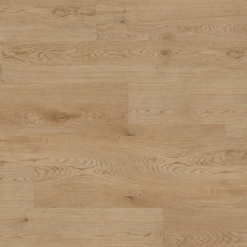 ter Hürne - Sōya 1 Perform - Dąb Dublin długa deska 1101240018