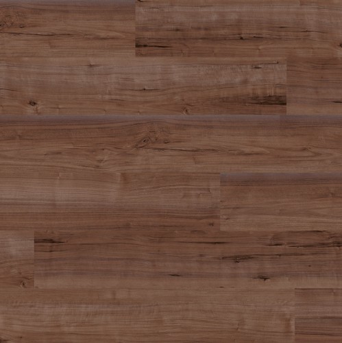 ter Hürne - Sōya 1 Perform - Orzech Abu Dhabi długa deska 1101240213