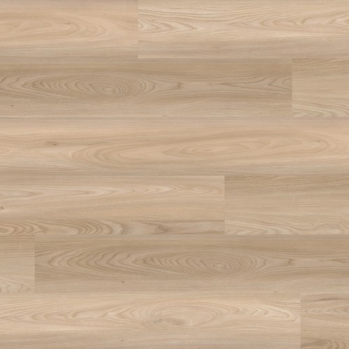 Wiąz Paris długa deska