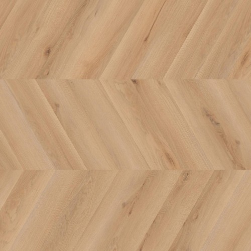 ter Hürne - Sōya 1 Pro - Dąb Rotterdam Chevron 1101210709
