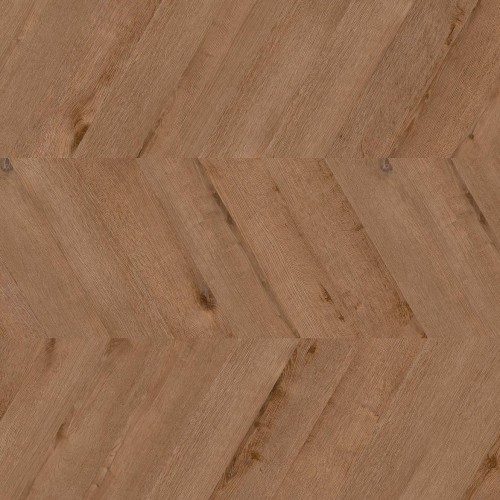 ter Hürne - Sōya 1 Pro - Dąb Washington Chevron