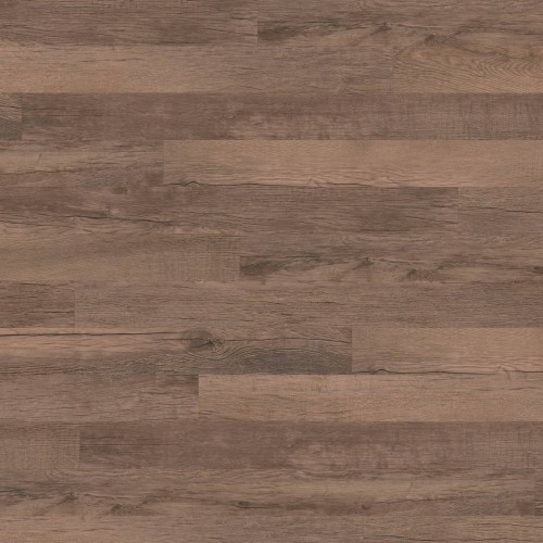 ter Hürne - Sōya 1 Perform - Dąb Salvador długa deska