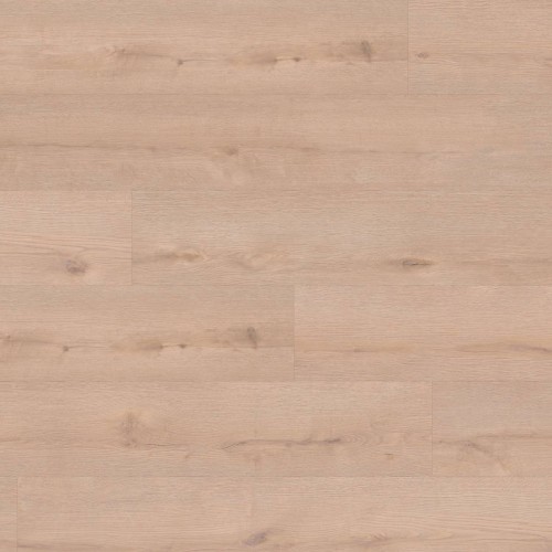 ter Hürne - Sōya 1 Perform - Dąb Stettin długa deska