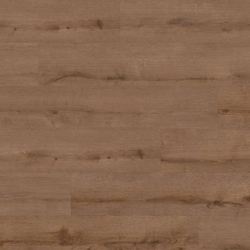 ter Hürne - Sōya 1 Perform - Dąb Washington długa deska 1101240404