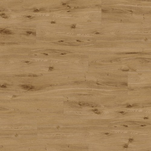 ter Hürne - Sōya 1 Perform - Dąb York deska 1101240200