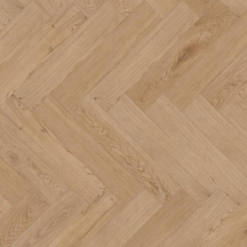 Dąb Dublin jodełka.jpgter Hürne - Sōya 1 Perform - Dąb Dublin jodełka 1101240615