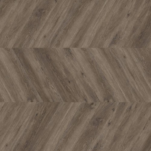 ter Hürne - Sōya 1 Perform - Dąb Canberra Chevron 1101240706