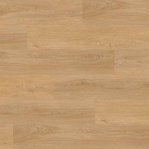 ter Hürne - Sōya 2 Pro - Dąb Den Haag długa deska 1101210608