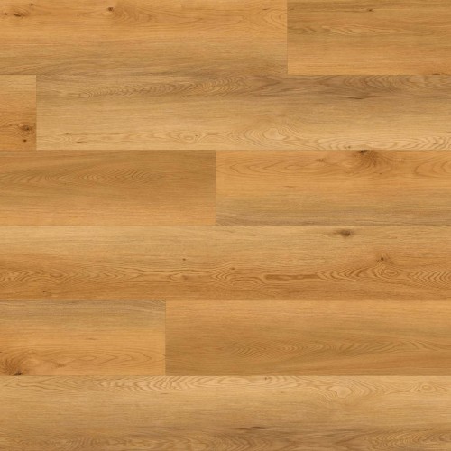 ter Hürne - Sōya 2 Pro - Dąb Catania długa deska 1101210437